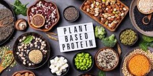 Plant-Based Protein
