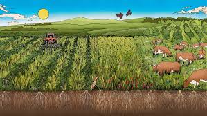 Regenerative Farming
